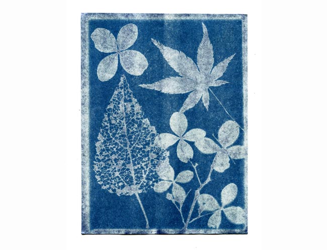 Actualit�s Philippe Lavialle